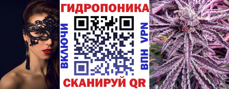 Бошки марихуана OG Kush  Болгар 